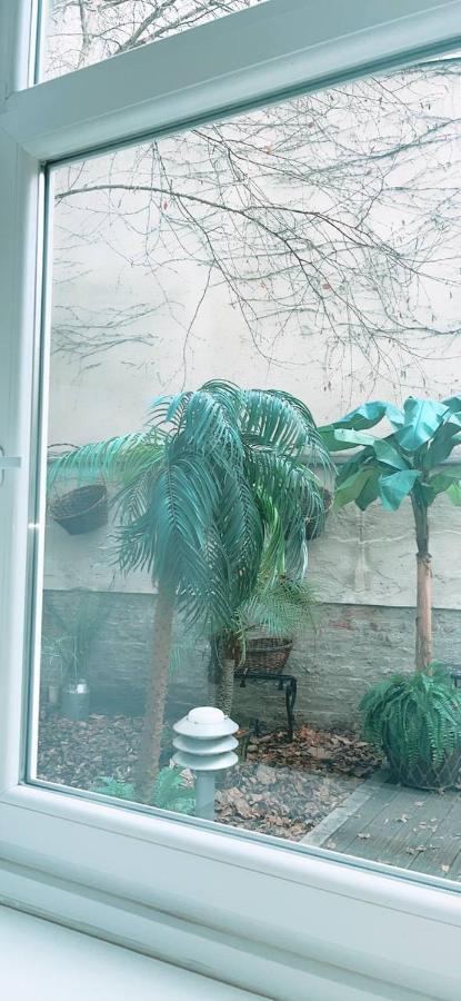 Comfort Apartment 5P Hn Wina Bagian luar foto
